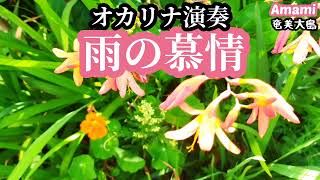 雨の慕情·歌詞付き·八代亜紀·442曲目·オカリナハイビスOcarina Hibi’s