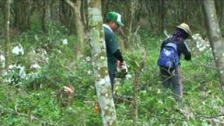 高鳳數位內容學院數位影音設計系協助屏東縣三地門鄉大社村達洼蘭部落八八水災災後重建工作