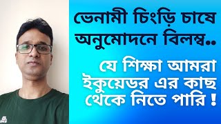 ভেনামীর বিলম্ব অনুমোদন: যে শিক্ষা আমরা ইকুয়েডর এর কাছ থেকে নিতে পারি। (white leg shrimp issue)