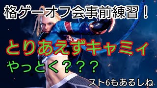 配信285回目！格ゲーオフ会とスト6の準備！ひたすらコンボ練習！