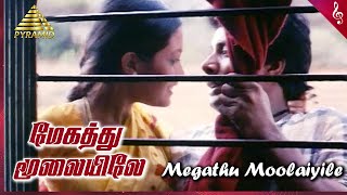 Megathu Moolaiyile Video Song | Taj Mahal Tamil Movie Songs | Manoj | Riya Sen | AR Rahman