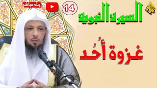 14 - السيرة النبوية | غزوة احد | الشيخ سعد العتيق