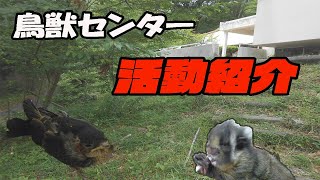 鳥獣センター紹介動画