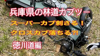 兵庫県の林紹介　カブで行く！　スーパーカブとクロスカブで兵庫県の林道ツーリング　今回は藍那林道（徳川道）です。