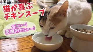 猫が喜ぶチキンスープが美味し過ぎてがぶ飲みしちゃうぽてと！