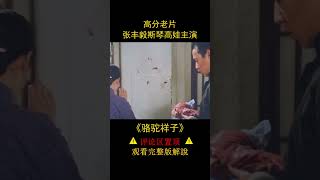 高分老片，張豐毅斯琴高娃主演，《駱駝祥子》