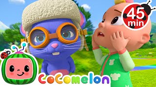 Can Tori Rescue JJ's Kite? 🪁 + MORE CoComelon JJ's Animal Time Kids Songs | Animal Songs for Babies