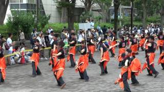 乱舞姫／NHK前ストリート／原宿表参道元氣祭スーパーよさこい2016