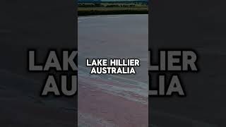 The Pink Mystery: Unraveling the Secrets of Lake Hillier