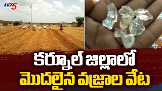 మొదలైన వజ్రాల వేట..| Diamond Hunting Started In Kurnool District | AP | TV5 News