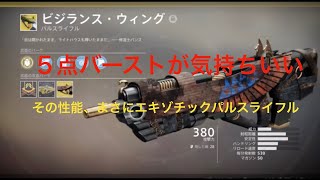 Destiny 2_これぞエキゾチックパルス_ビジランスウィング！（恐怖の5点バースト...）【Destiny2/Forsaken】