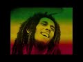 Bob Marley & The Waliers - Buffalo Soldier