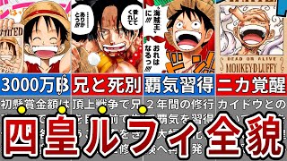 怒涛の25年間！麦わらのルフィが四皇になるまでの半生まとめ【2022年最新版】