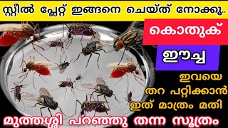 ഈച്ച കൊതുക് പൊടിയീച്ച ഇവയെ തുരത്താൻ ഇനി ഈയൊരു സൂത്രം മാത്രം മതി /amazing hacks/@RifthasKitchen