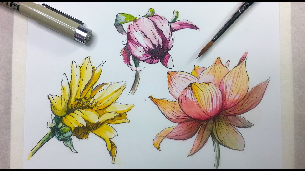 Draw Watercolor Flowers Best Flower Site