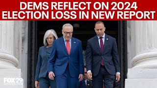 Democrats reflect on 2024 election loss in newly released report