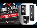 RBH Sound New SVT In-Wall, Active Speakers, Dual 12