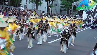 2017YOSAKOIｿｰﾗﾝ祭り　ファイナルパレード　新琴似天舞龍神