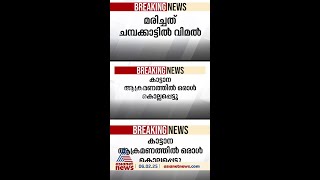 ഇടുക്കി മറയൂരിൽ കാട്ടാന ആക്രമണത്തിൽ ഒരാൾക്ക് ദാരുണാന്ത്യം