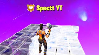 i spectated the best fortnite players in the world...