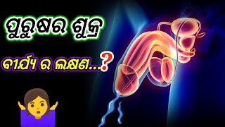 ପୁରୁଷର ଶୁକ୍ର ବୀର୍ଯ୍ୟ ର ଲକ୍ଷଣ...?#sibu_bhai_odia. youtube