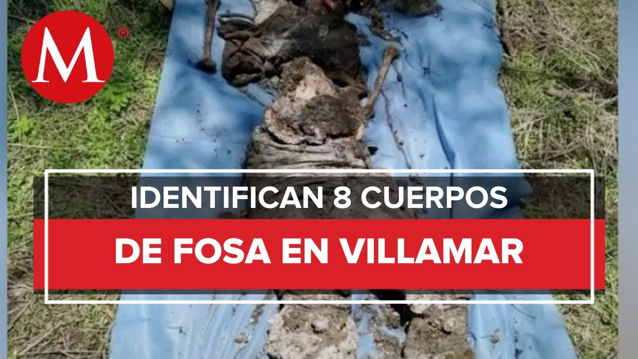 Identifican A Ocho De 23 Cuerpos En Fosas Clandestinas De Michoacán ...