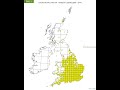 time lapse of ladybird survey of the uk harlequin ladybird 2003 2014