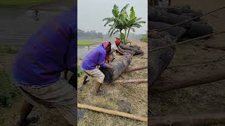 বুদ্ধি থাকলে বাড়িতে আজ কয়েকজনে করা যায়