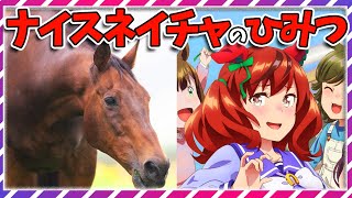 【ウマ娘 競馬】99％の人が知らない⁉絶対知って欲しいナイスネイチャのひみつ【ゆっくり解説】