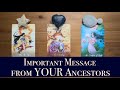 ✨An Important Message from YOUR Ancestors ✨ Pick a Card - Tarot Reading