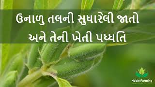 ઉનાળુ તલની સુધારેલી જાતો અને તેની ખેતી પધ્ધતિ | Sesame Farming | Sesame | GT-3 | GJT-5