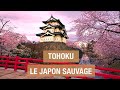 Les Secrets de Tohoku : le Japon sauvage - Documentaire voyage - AMP