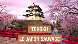 Les Secrets de Tohoku : le Japon sauvage - Documentaire voyage - AMP