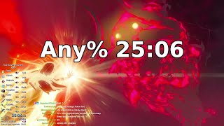 BotW Any% 25:06 [Former WR]