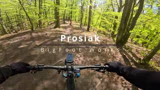 [BigFoot Works] Prosiak