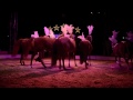 summer and her horses at zippos circus 2015