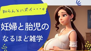 知らんとハズい　胎児と妊婦の雑学