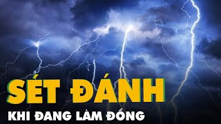 Một nông dân Thái Bình bị sét đánh chết khi đang làm đồng