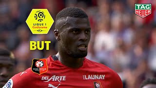But Mbaye NIANG (70' pen) / Stade Rennais FC - Toulouse FC (1-1)  (SRFC-TFC)/ 2018-19