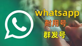 whatsapp耐用号，whatsapp群发号！超级耐用！#whatsapp群发