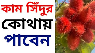 কাম সিঁদুর কোথায় পাবেন || Where can you get Kam Sindoor