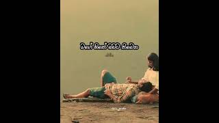 Oba Asa Sitee Nam | ඔබ අසා සිටී නම් | Nelu Adhikari | නෙලූ අධිකාරී | #whatsappstatus #lyrics