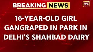 16-Year-Old Girl Gangraped In Park In Delhi's Shahbad Dairy