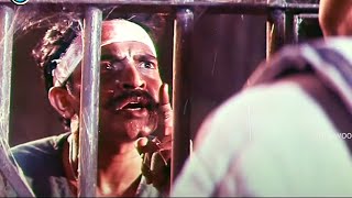Rajasekhar, Amala Akkineni, K.S. Ravi Telugu FULLHD Action Drama Movie Part-8 | Tollywood Cinemalu