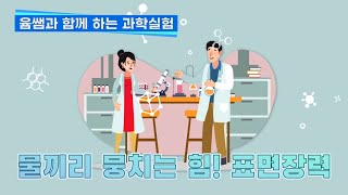 윰쌤과 함께 하는 과학실험 01 - 표면장력