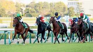 第７３回　チャレンジカップ （ＧⅢ）　ソーヴァリアント　 C.ルメール　2022.12.3　　出走馬：ヒンドゥタイムズ、レッドベルオーブ、ルビーカサブランカ、ビーアストニッシド、サンレイポケット他