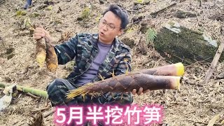 湖南农村小伙高山挖竹笋，想不到5月半才刚出土，这笋挖得真过瘾