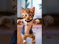 Can you dance motorcycle? #cat #dance #motorcycle #dieunhaylaixemoto #meow #petdance