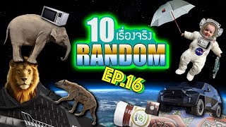 10 เรื่องจริงแบบสุ่ม (Random) ที่คุณอาจไม่เคยรู้ ~ EP.16