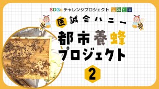 都市養蜂プロジェクト２！巣箱開放セレモニーと秋の採蜜体験会！